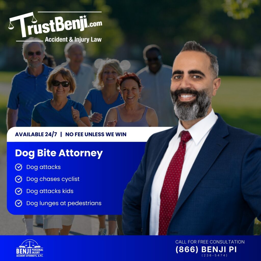 Dog bite injury attorney